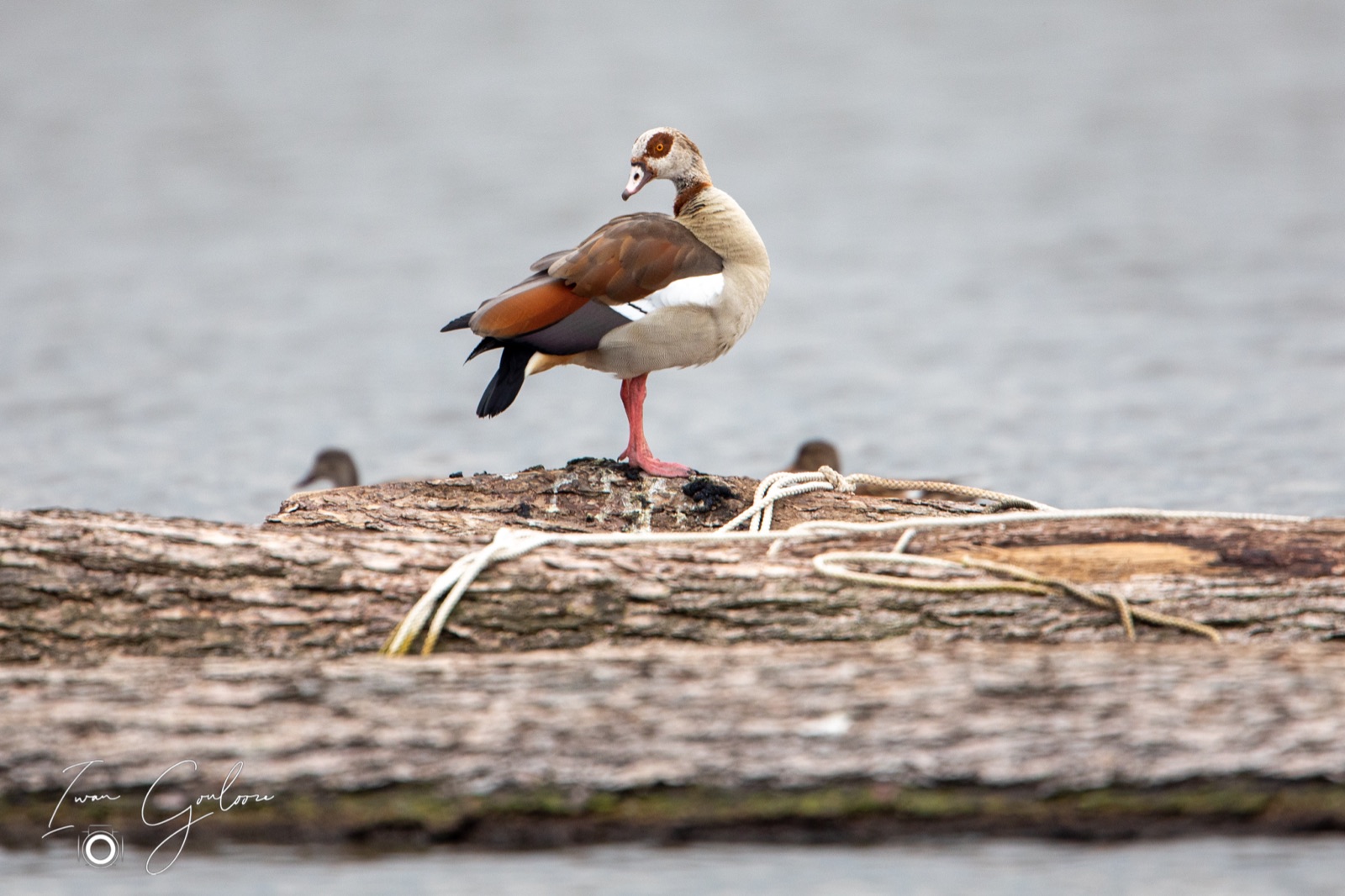 22 april 2022 185114  5D46855